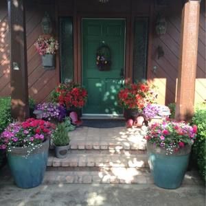 Meet your Posher, Debbie